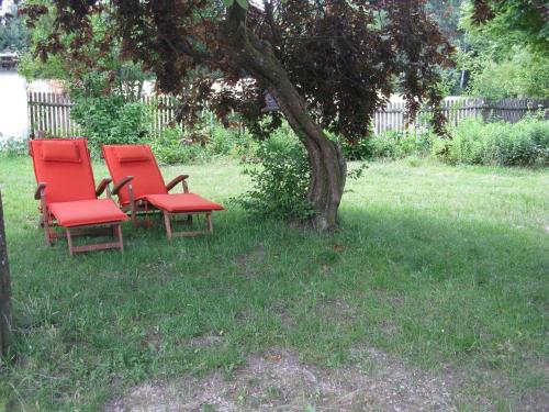 dos sillas rojas sentadas bajo un árbol en un patio en Ferienhaus für vier Personen mit Sitzgelegenheit, en Schöllnach