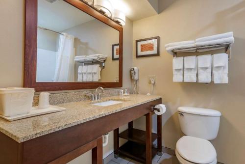een badkamer met een wastafel, een toilet en een spiegel bij Comfort Inn Amite in Amite