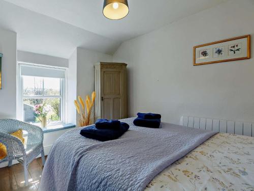 a bedroom with a bed with blue pillows on it at 2 bed in Porthmadog 86064 in Maentwrog