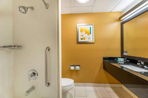 bagno con servizi igienici, lavandino e specchio di Quality Inn & Suites Sandusky a Sandusky