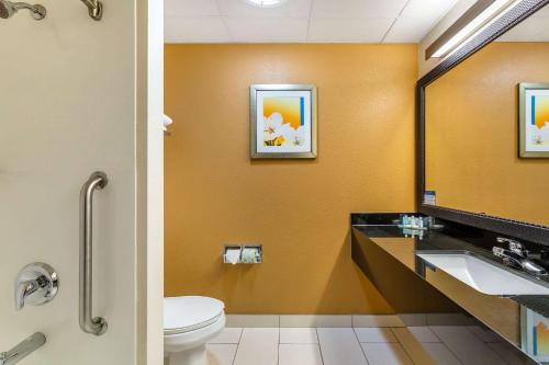 bagno con servizi igienici, lavandino e specchio di Quality Inn & Suites Sandusky a Sandusky