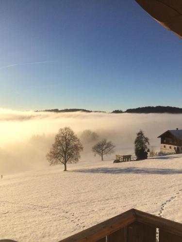 um campo coberto de neve com nevoeiro à distância em Ferienwohnung für 5 Personen ca 70 qm in Sankt Englmar, Bayern Bayerischer Wald em Hilm
