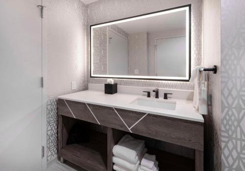 a bathroom with a sink and a mirror at Embassy Suites By Hilton Asheville Downtown in Asheville