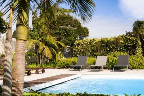a pool with two chairs and a palm tree at J&B Place in Ponta Delgada
