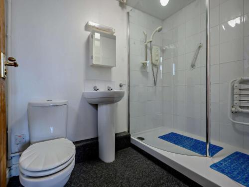a bathroom with a toilet and a shower and a sink at 1 Bed in Troutbeck nr Ullswater SZ254 in Troutbeck