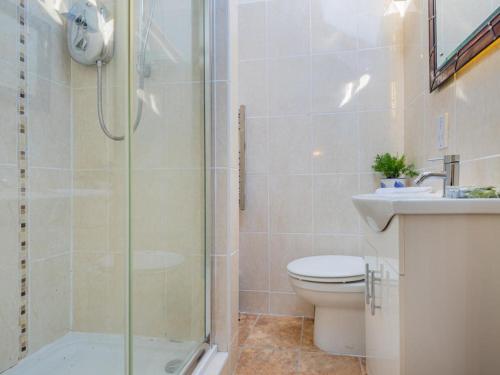 a bathroom with a shower and a toilet and a sink at 2 Bed in Bassenthwaite SZ060 in Uldale