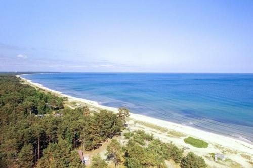 an aerial view of a beach with trees and the ocean at Ferienhaus in Yngsjö wenige Schritte zum Meer in Yngsjö