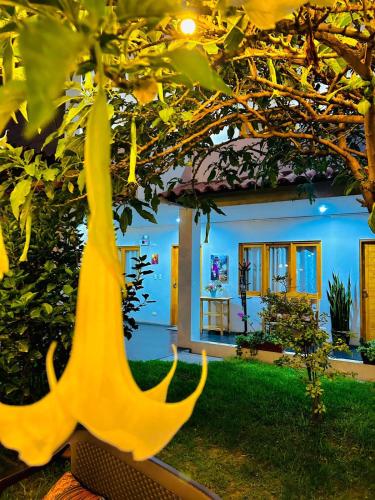 a tree with yellow flowers in front of a house at Alpamayo Casa Hotel - Restaurante in Yungay