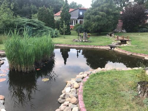 a pond in the backyard of a house at Charmantes Ferienhaus in Bleckede-Breetze mit Großem Garten in Bleckede