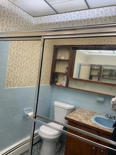 費爾法克斯的住宿－Eusleep pleasure，一间带卫生间、水槽和镜子的浴室