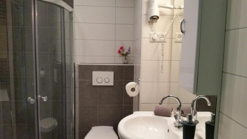 a bathroom with a shower and a sink and a toilet at PARKZICHT Bed by the Sea in Westkapelle