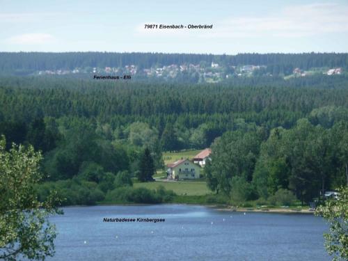 Oberbränd的住宿－Ferienhaus für 3 Personen 1 Kind ca 85 qm in Eisenbach, Schwarzwald Naturpark Südschwarzwald，湖畔树木的房子