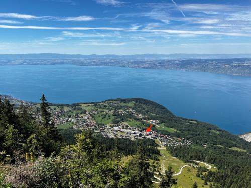 Vue aérienne d'une ville sur une colline à côté de l'eau dans l'établissement 