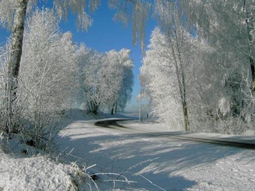 a road covered in snow with trees on it at Ferienwohnung in Schlag mit großer Terrasse - b57148 in Kirchdorf im Wald