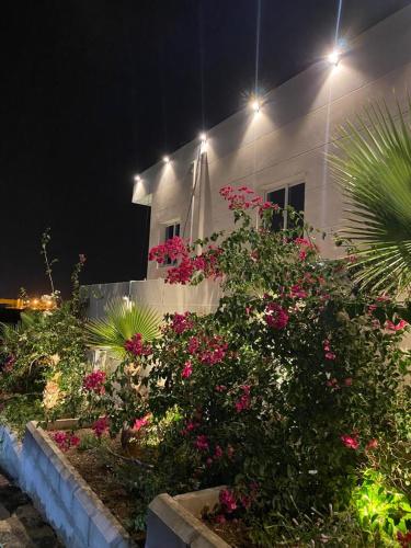 a house with pink flowers in front of a building at Dareen Boutique in Abha