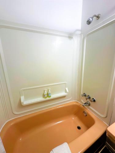 a bathroom with a tub and a sink at Red Top Motor Inn in Iron Bridge
