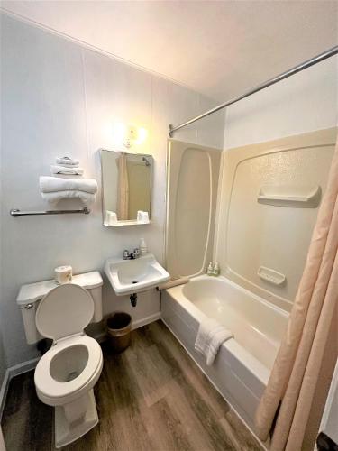 a bathroom with a toilet and a tub and a sink at Red Top Motor Inn in Iron Bridge