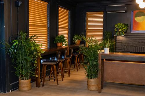 a bar with a row of chairs and plants at The 1888 Hotel in St Petersburg