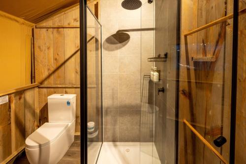 a bathroom with a toilet and a glass shower at BIG4 Apollo Bay Pisces Holiday Park in Apollo Bay