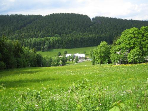 a field of green grass with a house in the distance at Horská bouda Čihalka in Olešnice v Orlických horách