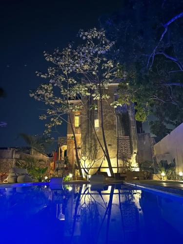 a tree in front of a building at night at Historic House Hotel boutique in Mérida