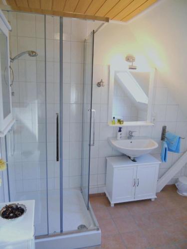 a bathroom with a shower and a sink at Gemütliche Ferienwohnung in Ebbingen mit Großem Garten in Walsrode