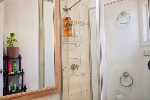 La salle de bains est pourvue d'une douche et d'un miroir. dans l'établissement Poolway Cottage Hepburn Springs, à Hepburn Springs