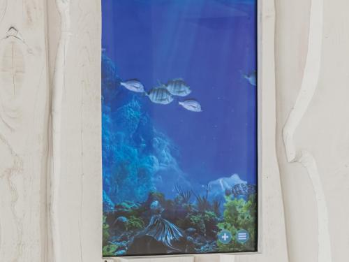 a picture of an aquarium with fish in it at MH Peniche in Peniche