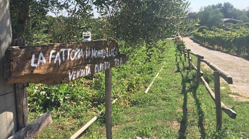 una señal para un viñedo al lado de una carretera en Ferienhaus für 4 Personen 1 Kind ca 75 qm in Bottaccio, Latium Rom und Umgebung, en Castel di Guido