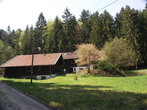 una casa en un campo de hierba al lado de una carretera en Ferienwohnung im Bayerischen Wald für 5 Personen, en Kollnburg