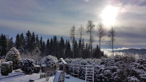 Ferienhaus für 2 Personen ca 70 qm in Wolfsberg, Kärnten Saualpe om vinteren