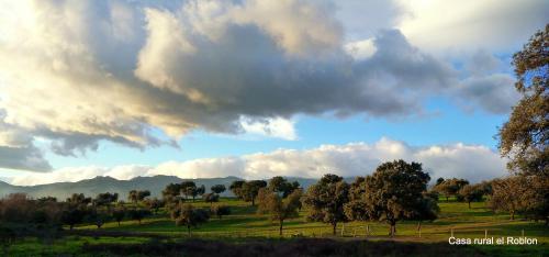 a group of trees in a field under a cloudy sky at Casa Rural El Roblon in Sartajada