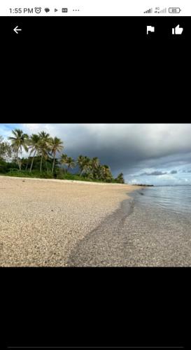 een foto van een strand met palmbomen en de oceaan bij White Beach Bungalow & Restaurant in Lénakel
