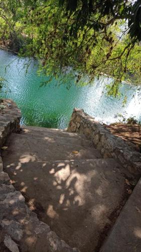 a pool of green water with a tree overhead at Paraíso Verde in Tambaca