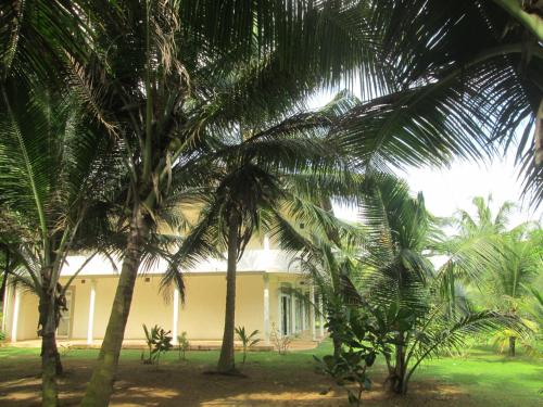 Un jardín fuera de Raja Beach Hotel