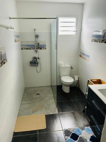 a bathroom with a shower with a toilet and a sink at KARAPAT in Le Gosier