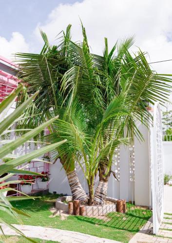 a palm tree in front of a white building at Nguyễn Lagi Homestay in La Gi