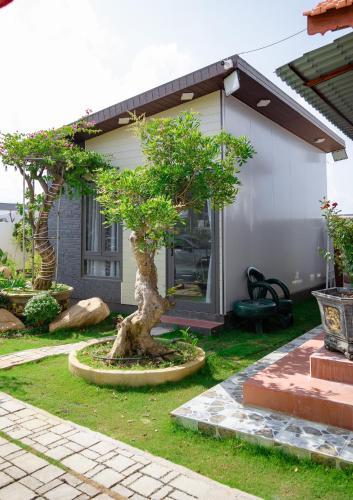 a bonsai tree in front of a house at Nguyễn Lagi Homestay in La Gi