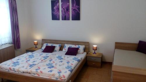 Postel nebo postele na pokoji v ubytování Apartmány Fialka