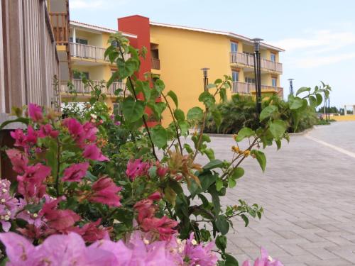Zahrada ubytování Palapa Beach Resort Curacao