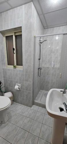 e bagno con doccia, servizi igienici e lavandino. di Poolside, 2 bedroom flatlet a Is-Swieqi