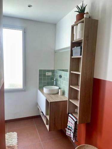 La salle de bains est pourvue d'un lavabo et d'un comptoir avec une étagère. dans l'établissement Charmante maison de ville, à Saint-Brieuc