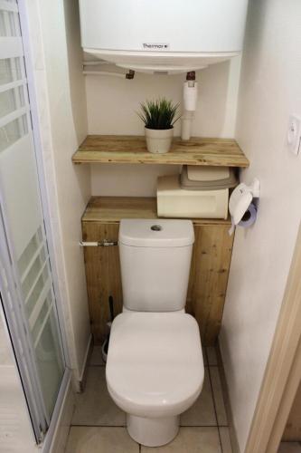 La salle de bains est pourvue de toilettes avec une plante sur une étagère. dans l'établissement Résidence Les Issarts - Appartement au pied des pistes de Superdévoluy MAE-9671, à Saint-Étienne-en-Dévoluy