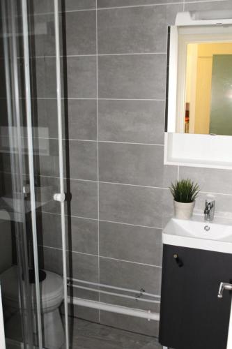 une salle de bain avec une douche, des toilettes et un lavabo dans l'établissement Résidence Le Bois D'aurouze - Mini-studio côté vallée au pied des pistes MAE-9731, à Saint-Étienne-en-Dévoluy