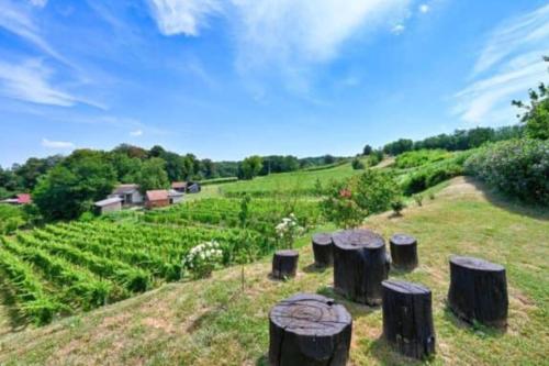 un campo con tronchi d’albero nell’erba di Hedonistic Vineyard Estate With Hot Tub - Happy Rentals a Ludbreg