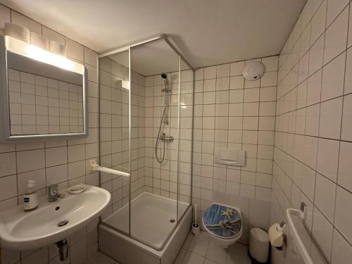 a bathroom with a shower and a sink and a toilet at Amara.Festsaal.Gasthaus.Pension in Mohorn