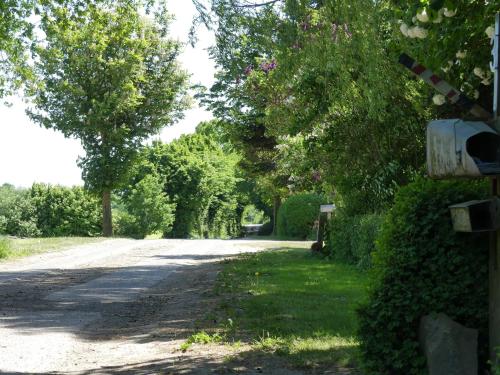 a dirt road with trees and bushes on it at Cattle Barn - leben auf dem Hof in Tröndel