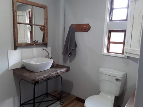 a bathroom with a sink and a toilet and a mirror at Oudam Overnight Accomodation in Bloemfontein