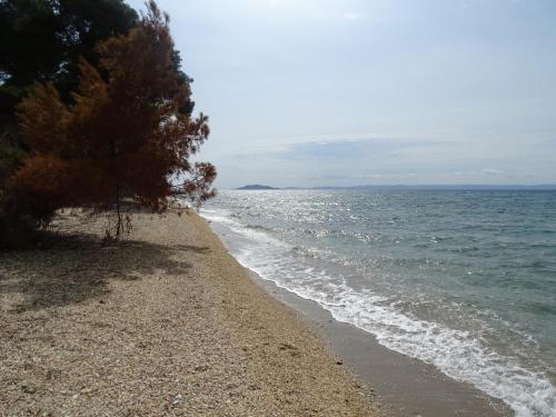 Gambar di galeri bagi Front of the sea Elia Apartment di Elia