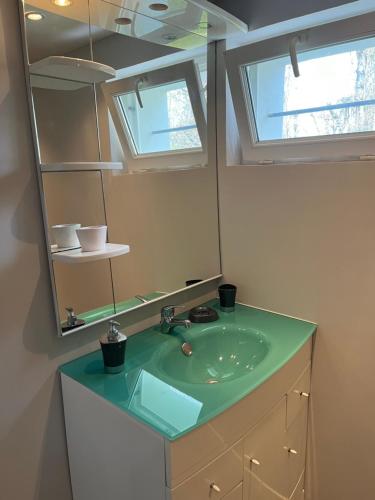 La salle de bains est pourvue d'un lavabo vert et d'un miroir. dans l'établissement Bel appartement de 60 m2, à Rosières-près-Troyes